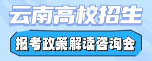 高招线上咨询会